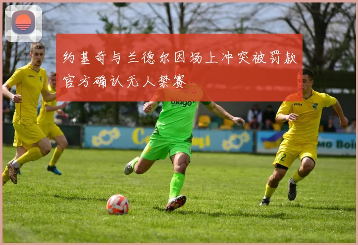 约基奇与兰德尔因场上冲突被罚款官方确认无人禁赛